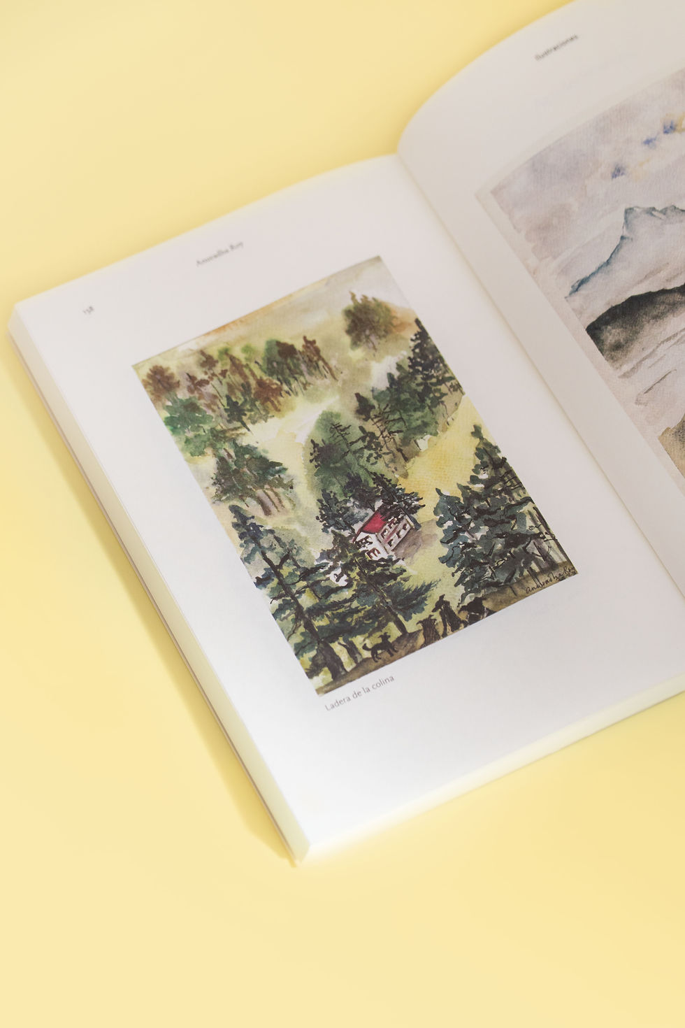 Miniatura: Llamada por las montañas, de Anuradha Roy