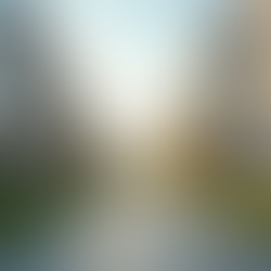 Designing Quality Homes for Affordable Living