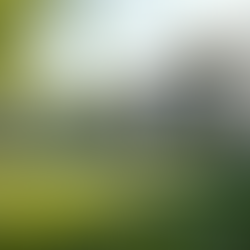 Building Sustainable Communities: Affordable Housing Solutions