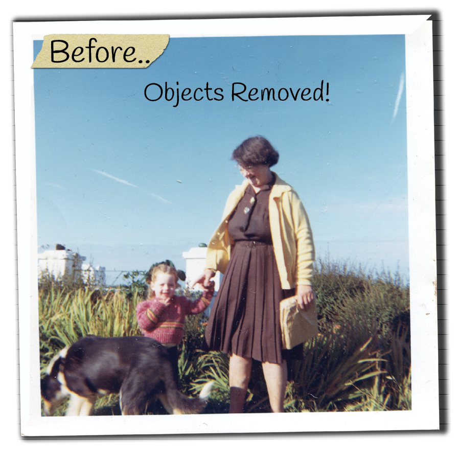 Original photo with dog