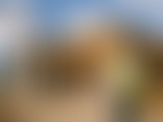 Vers une construction Durable RSE plus sobre