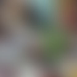 山の会の懇親会、大盛況