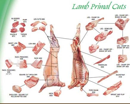 lamb cuts