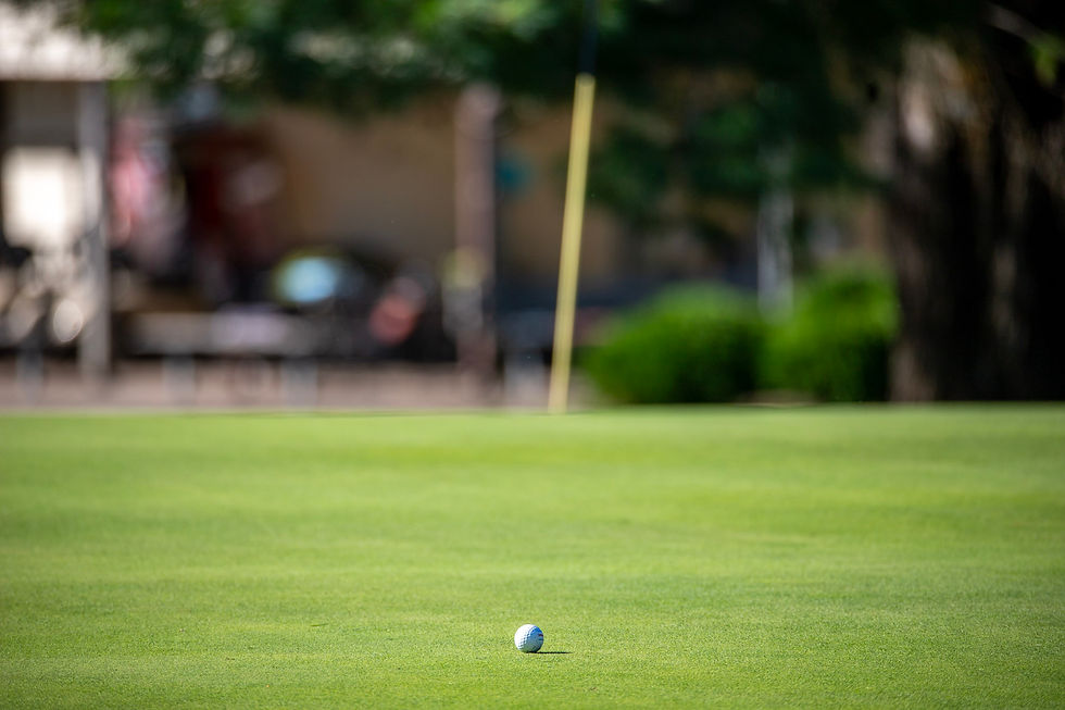 Ball on Green.jpg