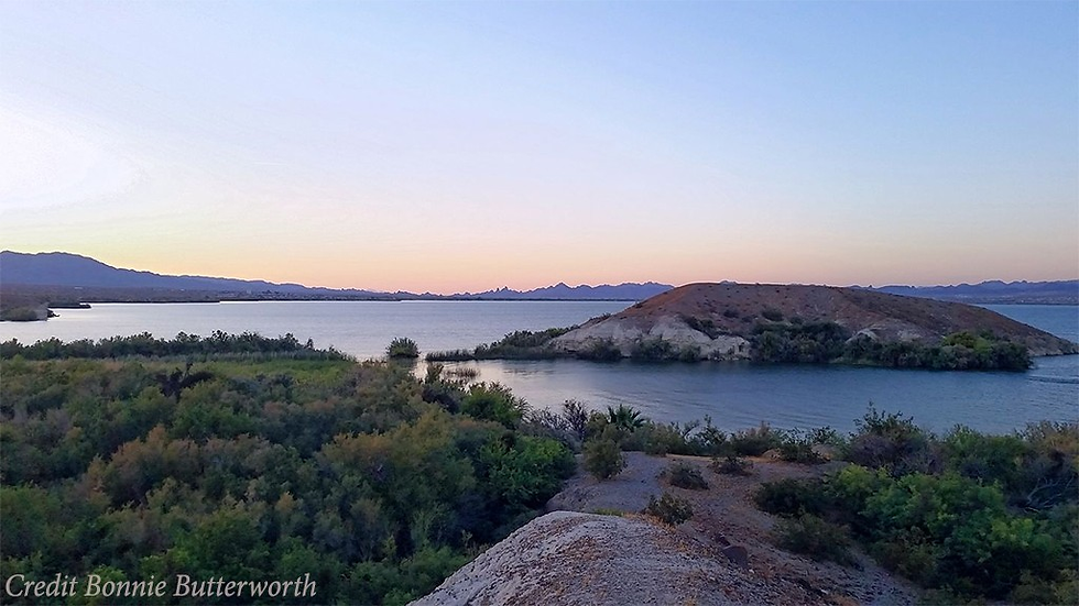 Calm sunset over a blue lake with a scrubby island, distant mountains, and green shoreline; Credit Bonnie Butterworth