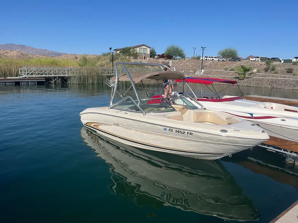 Sea Ray 210 Bow Rider Wakeboard Boat