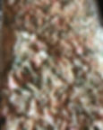 Seafood Pasta