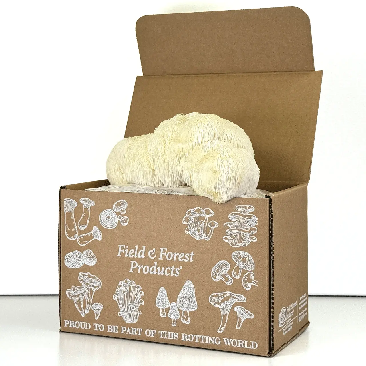 Field & Forest Lion's Mane Mushroom Table Top Farm