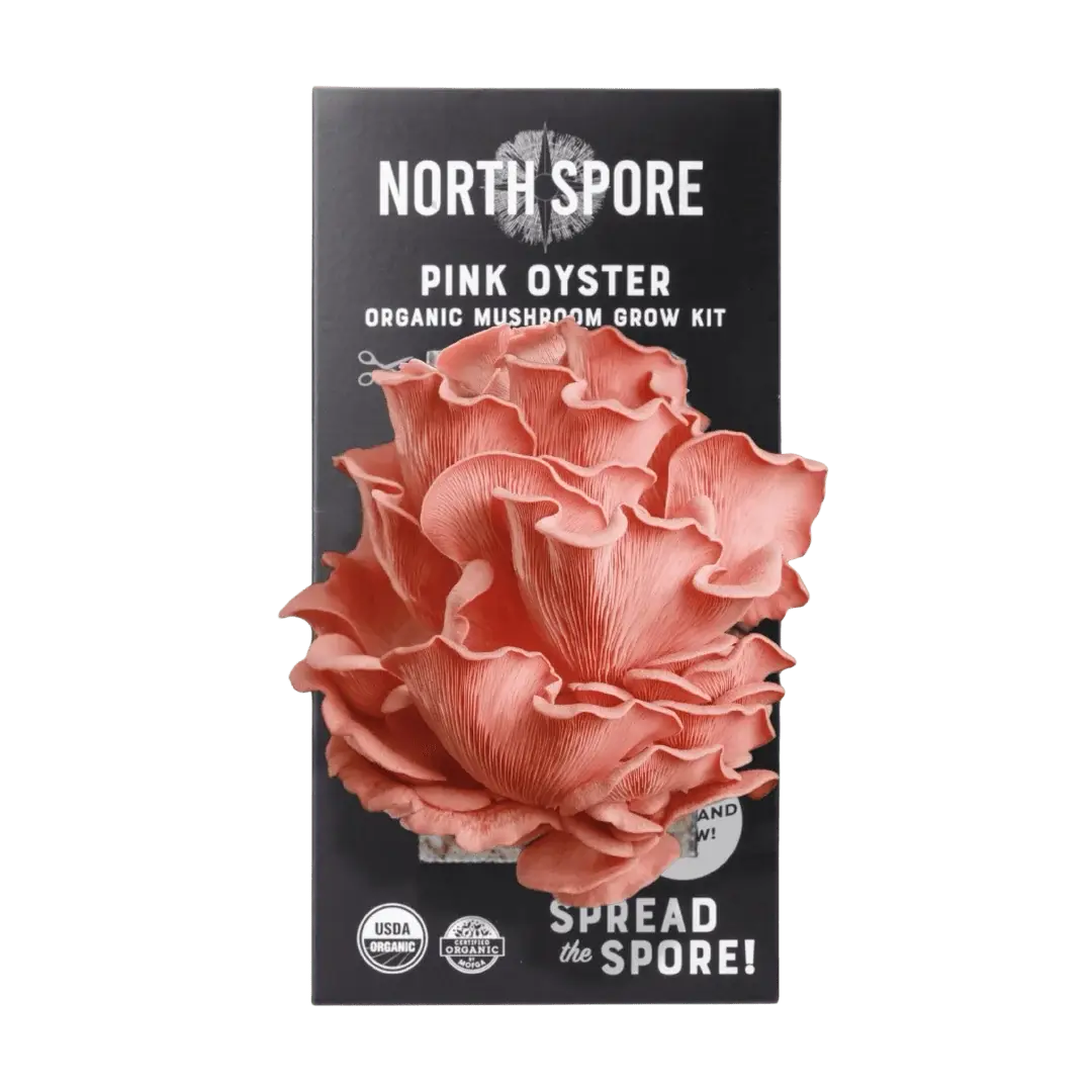 North Spore Organic Spray & Grow Kit - Pink Oyster Mushroom