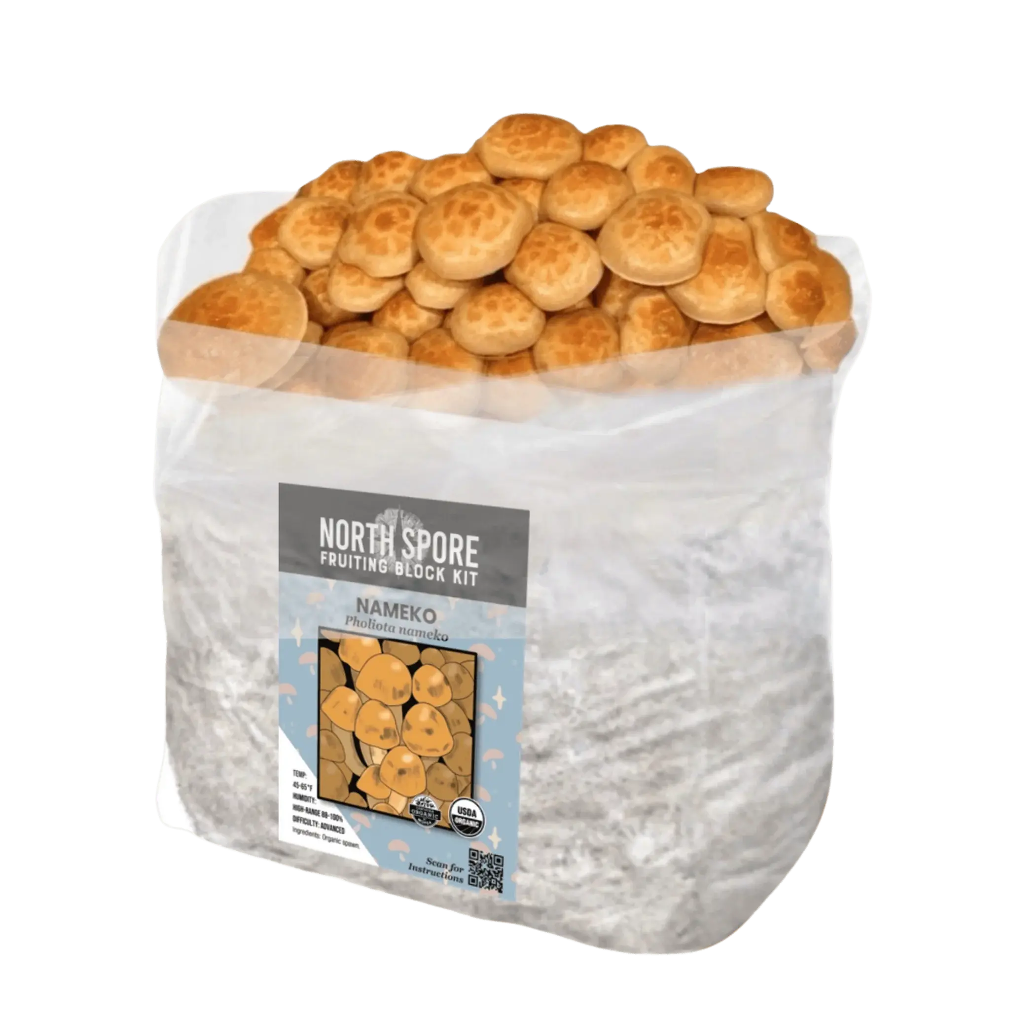 Organic Nameko Mushroom Grow Kit Fruiting Block