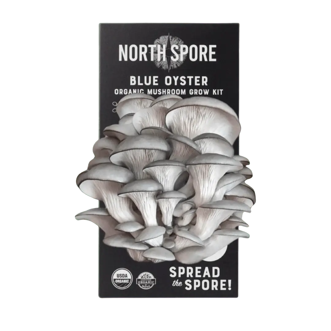 North Spore Organic Spray & Grow Kit - Blue Oyster Mushroom