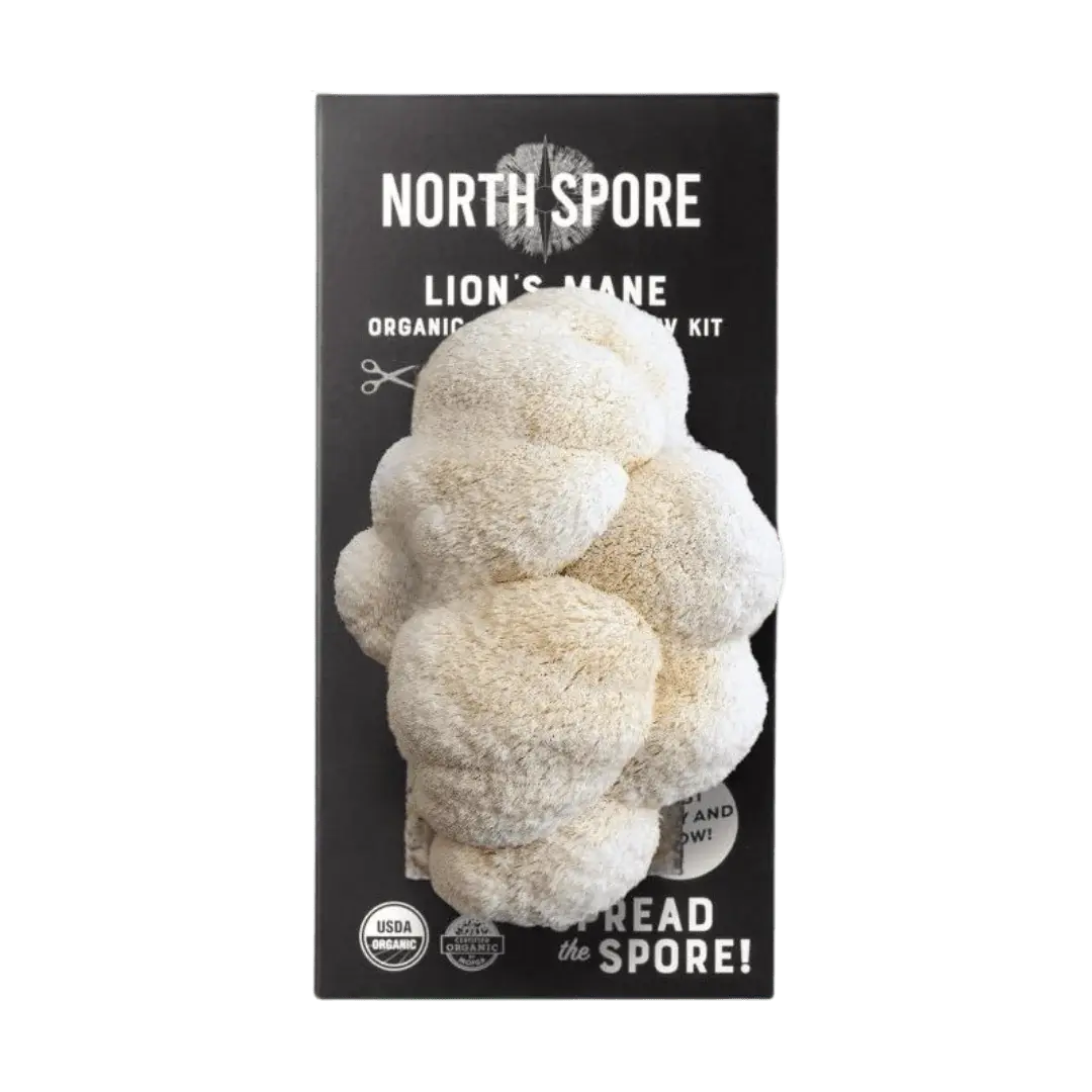 North Spore Organic Spray & Grow Kit - Lion's Mane Mushroom