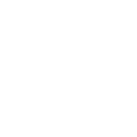 TRANSPARENT FILE.png