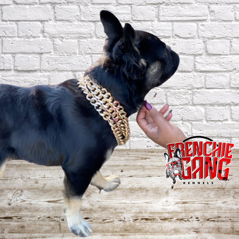 Frenchie Gang Product Photos (2).png
