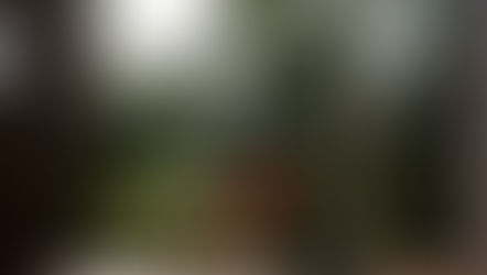 気候に合わせたデザイン