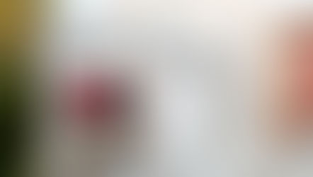 始まりはオープンハウスから