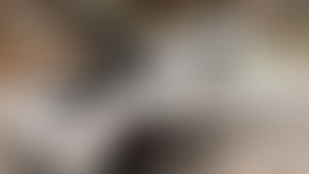 Probably Not Worth Reading