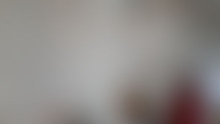 サンプル材集め