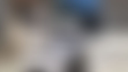 屋外生活の準備