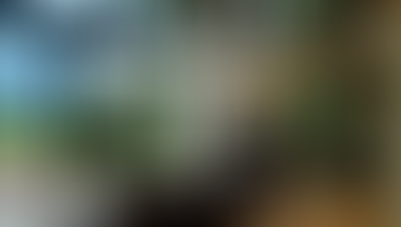 函館の建築家が手がける住宅デザイン集|外観・土間・リビング