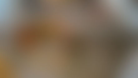 リビングにラウンジピット