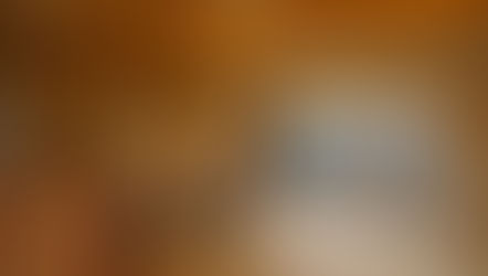 巣ごもりを楽しむ家-1