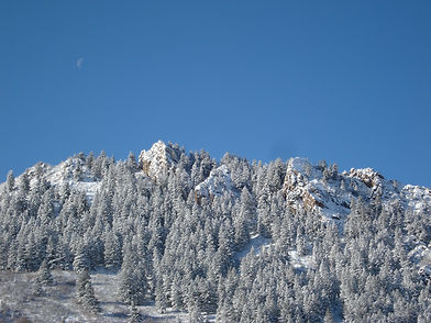 usa 2009 9 015.JPG