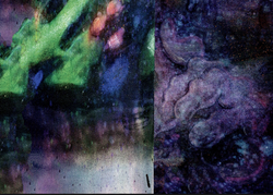 Skærmbillede 2018-01-28 kl. 12.21.27