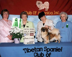 2005 Award of Merit & Best Veteran in Specialty