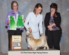 2011 Award of Merit and Best Veteran