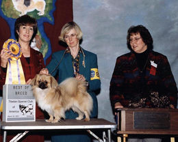 2001 Best of Breed