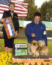2009 Djebel Best in Show