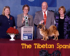 2006 Award of Merit
