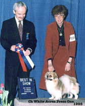 1995 Vinnie Best in Show