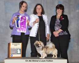 2011 Winners Dog