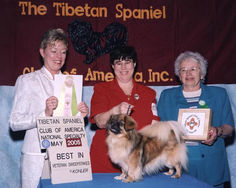 2005 Best in Veteran Sweeps