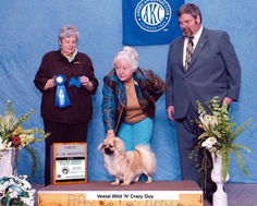 2010 1st 9-12 Puppy Dog