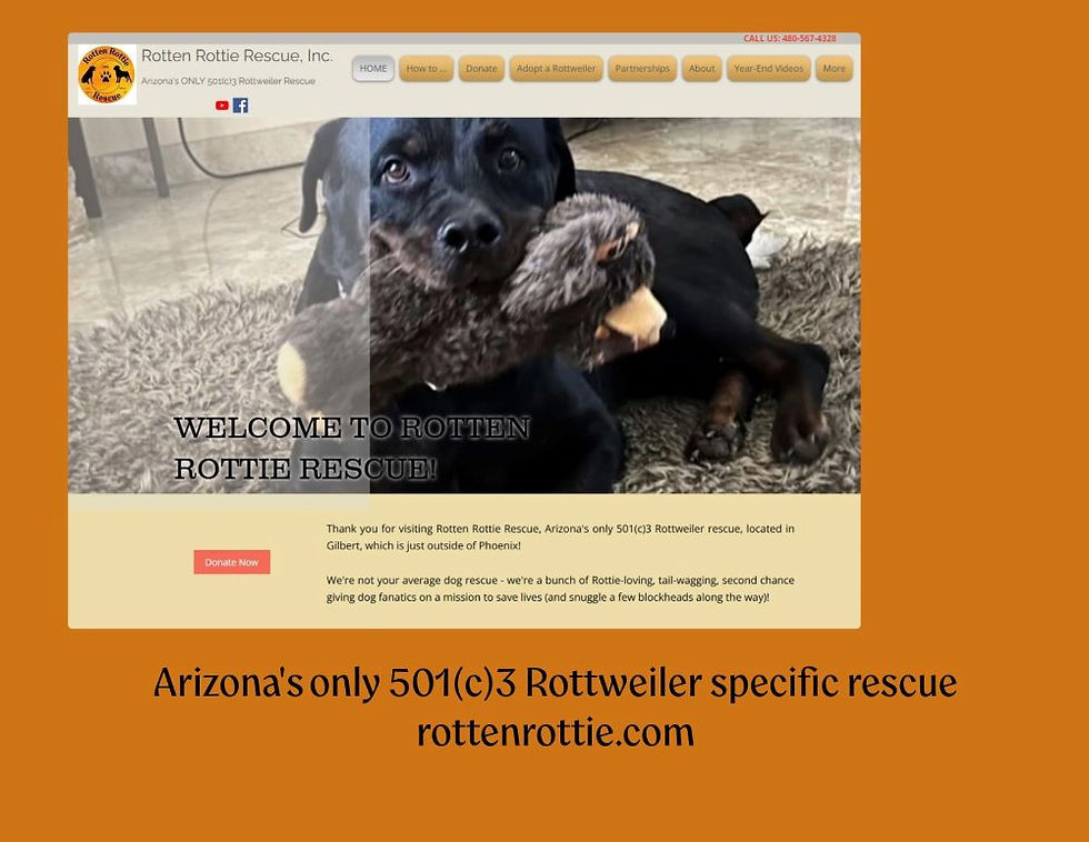 Rotten Rottie Rescue