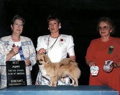 1994 Best Puppy