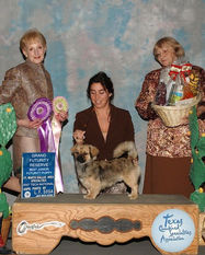 2007 Grand Futurity Reserve & Best Jr Futurity Puppy
