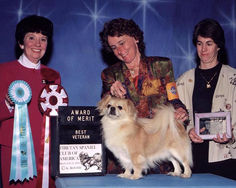 2004 Award of Merit & Best Veteran