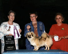 1994 Reserve Winners Bitch
