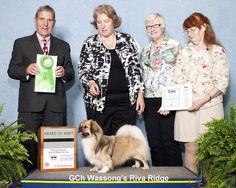 2015 Award of Merit
