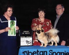 2002 Award of Merit