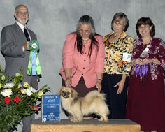 2009 Award of Merit