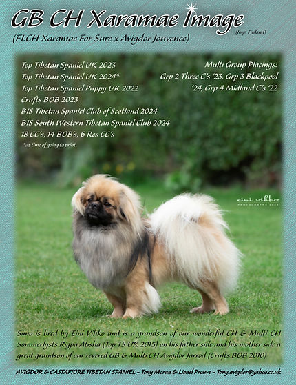 Simo ad for Tony