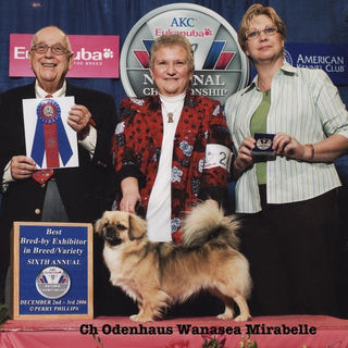 CH Wanasea's Mirabelle, BBE