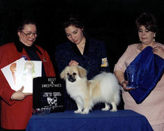 1996 Best in Sweepstakes
