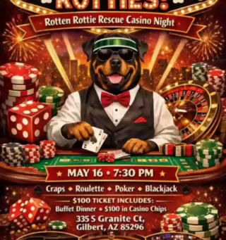 Rotten Rottie Casino night