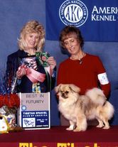 2006 Best in Futurity